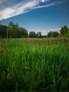 Оценка земельного участка для физических лиц
